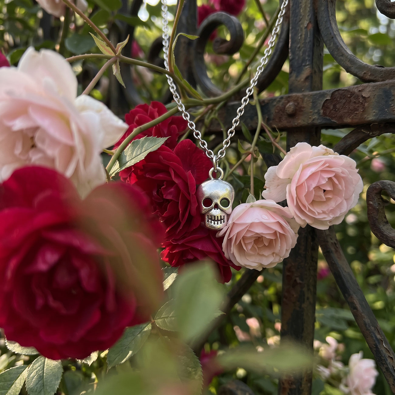 Skull Necklace — marketing