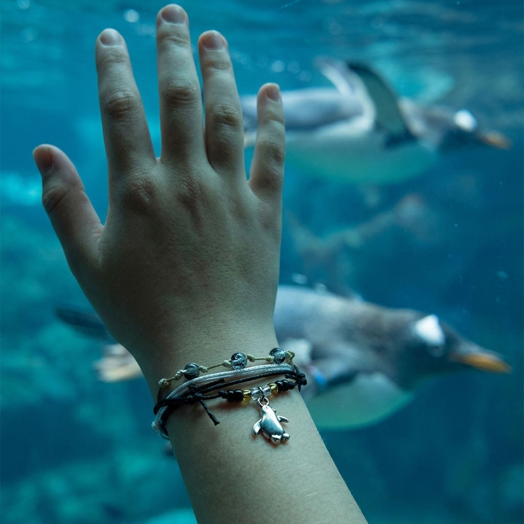 Penguin Bracelet Style Pack
